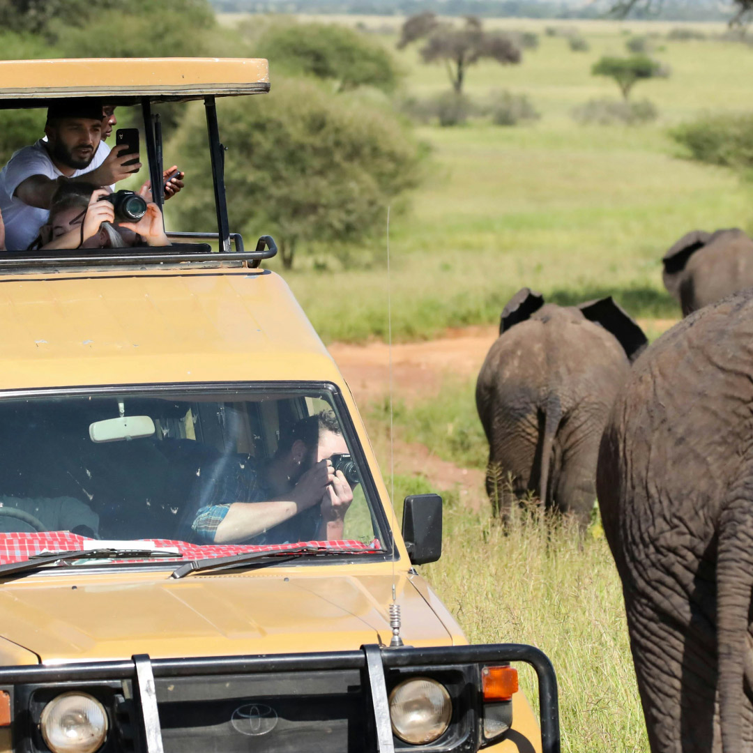 6 DAYS OF THE BEST TANZANIAN SAFARI