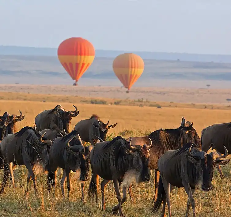 Why Serengeti National Park is World Famous