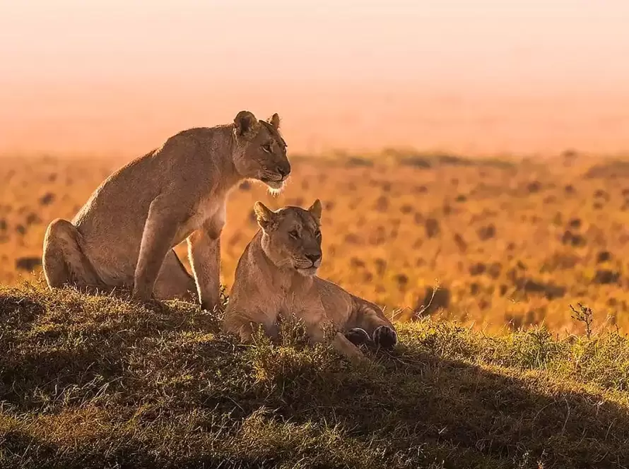 6-Day Tarangire, Serengeti & Ngorongoro Safari