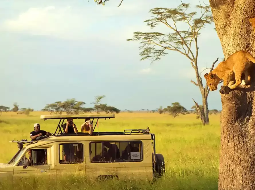 8-Day Tanzania Classic Safari